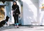 Multifunctional Adjustable Polyester Dog Leash Handsfree Bungee Dog Leash