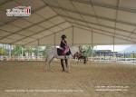 Outdoor Portable 20x40m Horse Riding Arena Stables Hall Tent for Sale