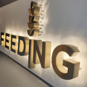 Quality Gold Brush Stainless Steel Backlit Letters Signs wholesale