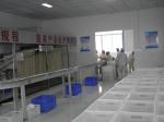 Healthy Chicken Egg Flavor Dried Noodles Processing Machine 12 Months Warranty