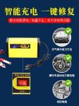 Smart E Bkie 12 24V Intelligent Car Battery Charger ABS Flame Retardant