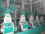 30x8x7m Combined Commercial Wheat Cleaning Milling Machine for Turkey Flour Mill