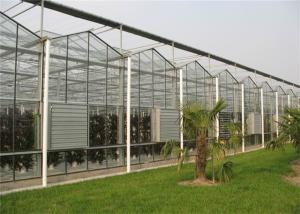 Quality Agricultural Modular Greenhouse Strong Coating Toughness Design Shouguan wholesale