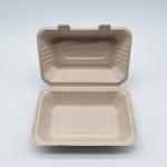 900ml Eco Friendly Disposable Bento Box