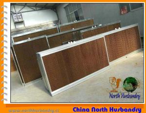 Quality Cellulose Evaporative Cooling pad &amp; Poultry Cooling pad wholesale