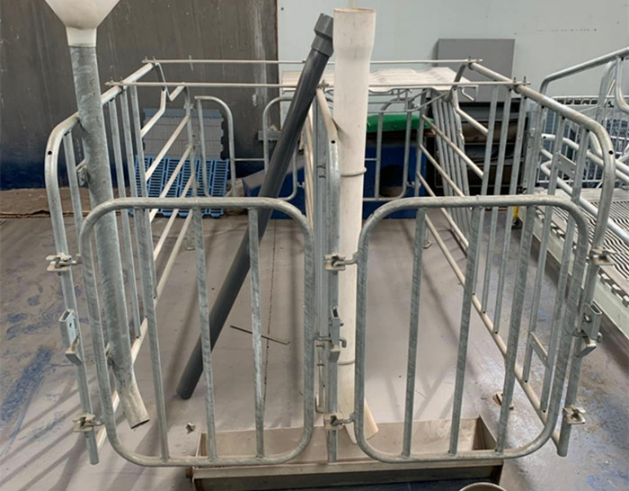 Modern Automatic Husbandry Pig Gestation Cages , Pig Farrowing Crate Or Stall