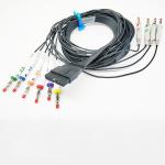 Banana Holter ECG Cable 10 Lead IEC AHA Schiller MS-12
