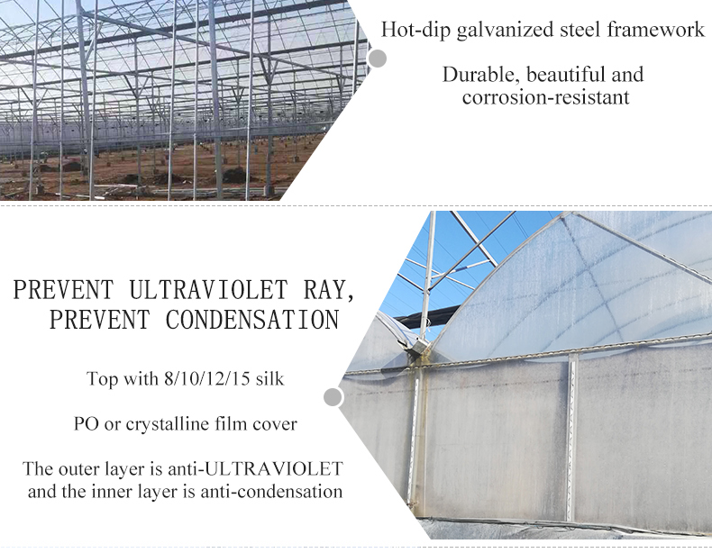 PO Film Double Layer Hydroponic Container for Superior Plant Growth Results