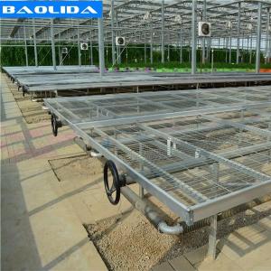 Quality Galvanized Greenhouse Rolling Benches / Greenhouse Benches And Tables wholesale