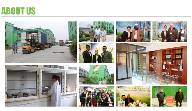 Milky White and High Grams Coated Paper Bookbinding Hot Melt Glue Adhesive and Paper Machine
