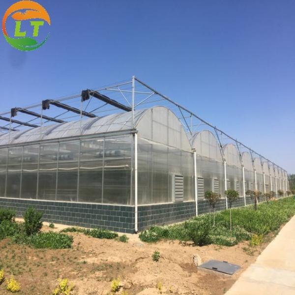 Multi-Span Film Agricultural Greenhouse Gutter Height 3-6m Automatic Controlling