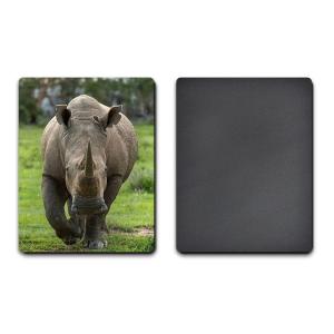 Quality Custom Animal 3D Fridge Magnets PET Lenticular Thickness 0.6mm wholesale