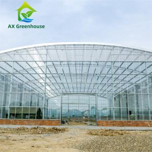 Quality Waterproof Multispan Agricultural Glass Greenhouse Large Venlo Shading Greenhouse wholesale
