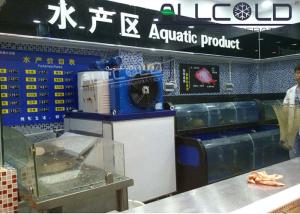 Quality Photoelectric Switch Ice Flake Maker Machine Integrated Convenient 2 Tons / Day wholesale