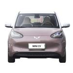 Small New Electric Vehicles 50KW Pure Mini EV Electric Car Wuling