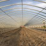 Easy To Install Agricultural Greenhouses for Growing Flowers Vegetables and