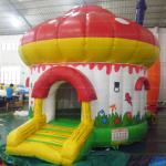Mushroom Inflatable Moonwalk (CYBC-14)