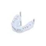 Professional Grade Repair Model Resin The Game-Changing Repair Solution