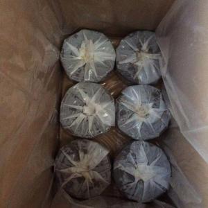 Quality Anti Corrosion Copper Gas Pipe Wrap Tape Insulation OEM wholesale
