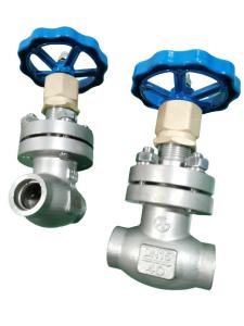 Quality DN25 PN40 Low Temperature Valve Socket Weld Globe Valve in LNG LO2 wholesale