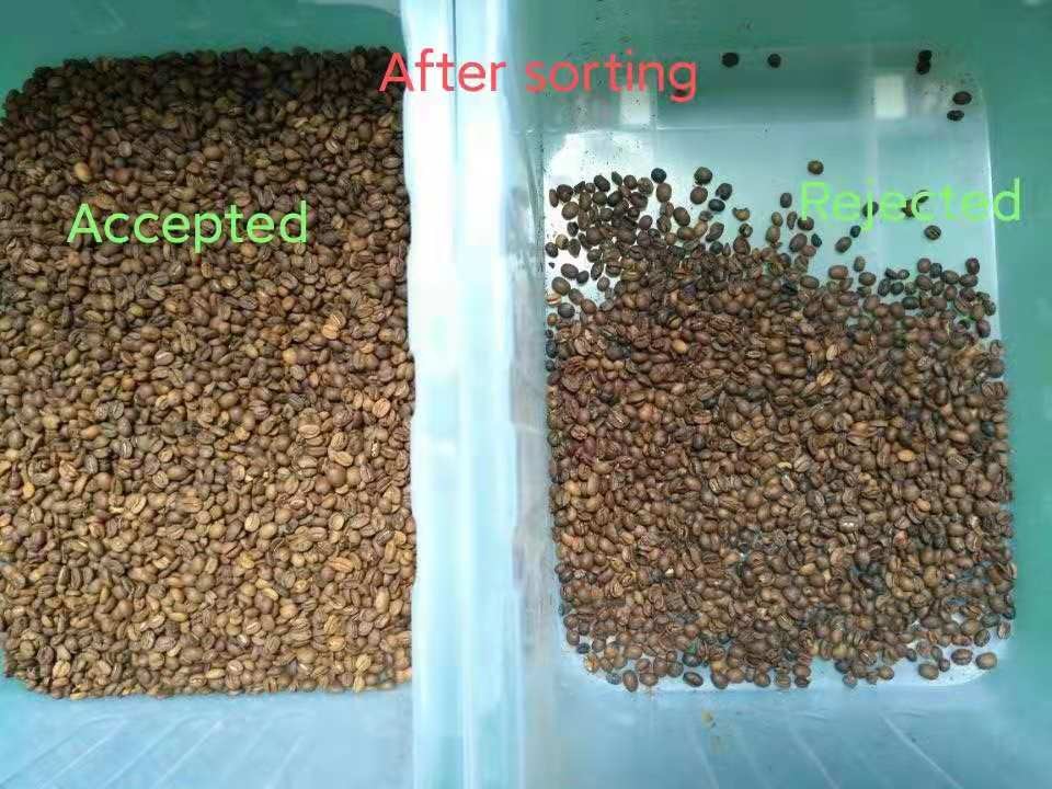 Wenyao Mini CCD Coffee Bean Color Sorter 32 Channels