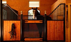 Quality Horse Stable Front Panel with Plastic kick Panels Horse Stall wholesale