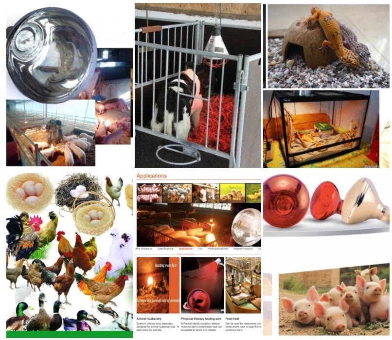 Breeding Bulb 75w Pig Trough Feeder E27 Infrared Heat Lamp