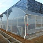 Hot Dip Galvanized Steel Pipe Green House Hothouse Ventilated Plastic Sawtooth