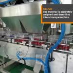 Cherry Tomato Blueberry Fresh Fruit Multihead Weigher Carton Box Filling Packing