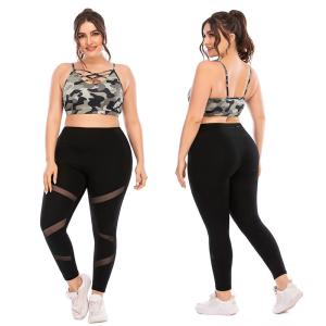 Quality Printed Women's Sports Bra And Leggings Set 3XL Plus Size Breathable Sexy wholesale