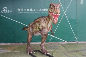 Quality Simulation Life Size Dinosaur Models For Show Museum Customization Acceptable wholesale