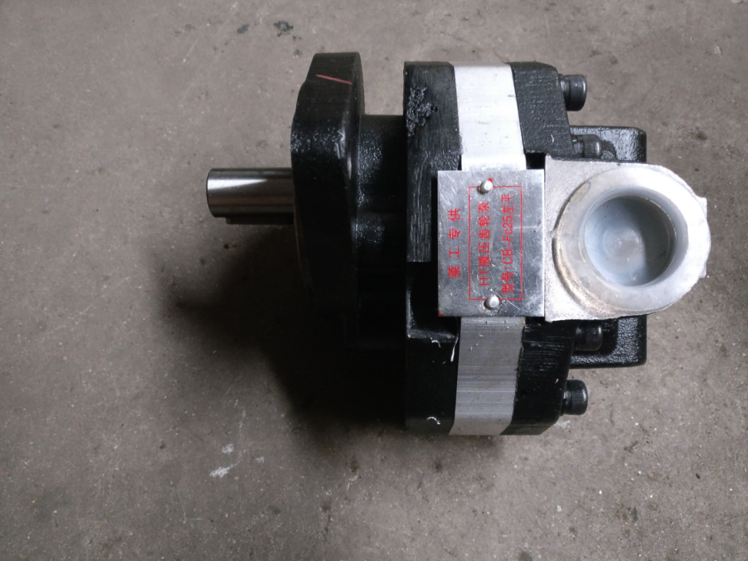 Stainless Steel Loader Hydraulic Pump Mini Loader Parts