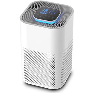 Quality 2022 New Purificador De Aire Hepa Desktop Ionized Air Purifier Negative Ion True Hepa Filter Portable Air Purifier Manufacturer wholesale