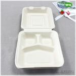 8x8 Inch Three Compartments Compostable Sugarcane Fiber Disposable Lunch Box
