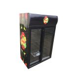 105L Upright beverage display cooler 2 glass door vertical showcase cold drink