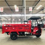 Rear Spring Leafs 5 2 Motorized Lift Cargo Tricycle in Egypt with Zongshen 250cc