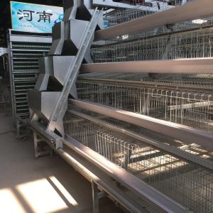 Quality Poultry Equipment Egg Layer Chicken Cage Automatic For South Africa Farm wholesale