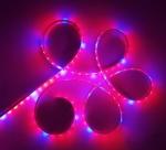 5050 SMD Waterproof Indoor Plant Grow Lights