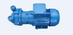380v 1.45 KW Liquid Ring Vacuum Pump / 2900rpm Watering Vacuum Pumps