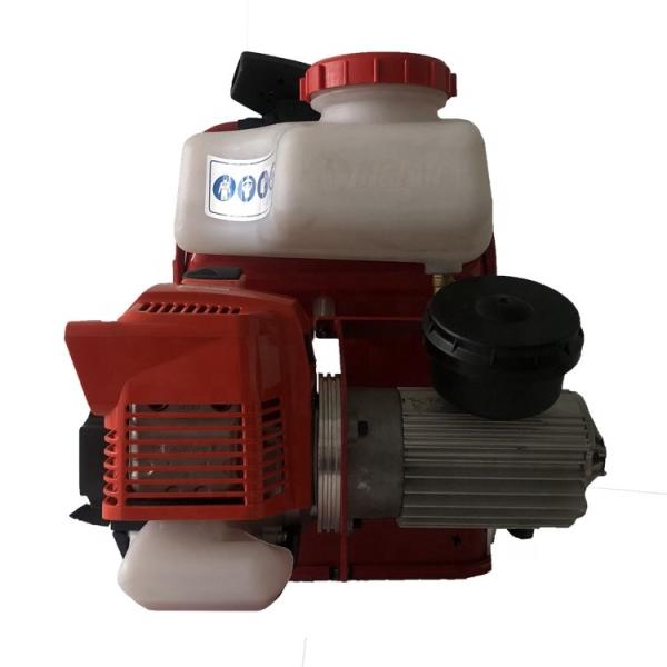 Ultra Low Capacity Pest Control Gasoline Portable Electric Sprayer Agricultural