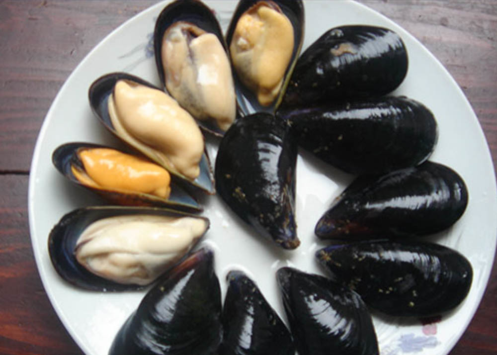 Cooked Mussel Half Shell Mytilus