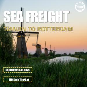 Quality 2 Shifts Per Week Worldwide Sea Freight From Tianjin To Rotterdam Netherlands wholesale