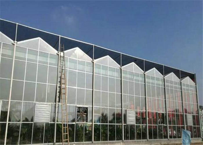 Shouguan Agricultural Glass Greenhouse Hot Dip Galvanized Rust Prevention Design