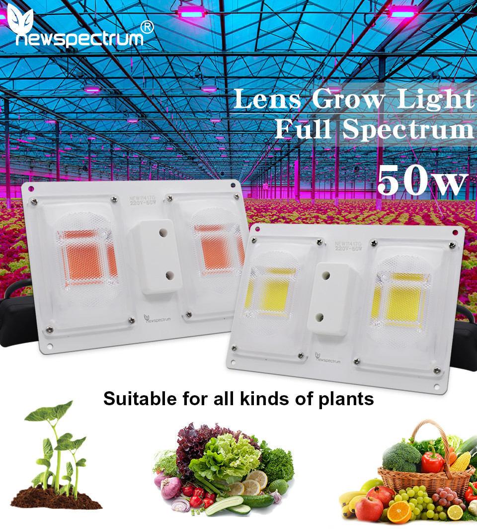 Waterproof Cob Led Chip Moisture Electric Shockproof Led Module 4000k
