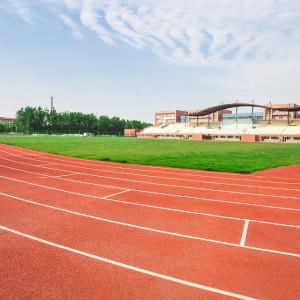 Quality Fire Resistant Sandwich System Running Track Moisture Proof playground wholesale