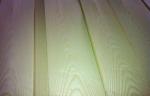 Door Ash Natural Flexible Wood Veneer Sheets Crown Cut Elastic 0.45mm Thickness
