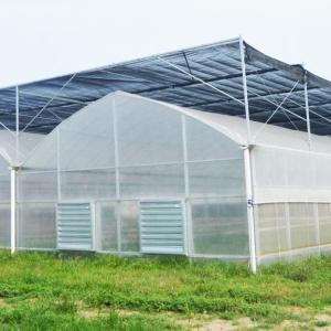 Quality High Tech 200 Micron Greenhouse Automatic Plastic Film Multi Span Wind Resistant wholesale