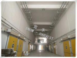 China Commercial Logistics Cold Storage Environmental Friendly Freezer Cool Room on sale