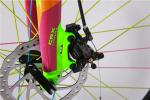 Colorful 6061 aluminium alloy 700C road bicycle/bicicle with Shimano 14 speed