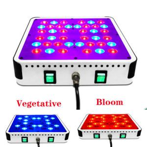 Quality led grow light 2015,cidly grow light 200w,5w chip led grow lights wholesale